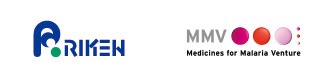 2024 Screening Project between RIKEN and MMV $200,640